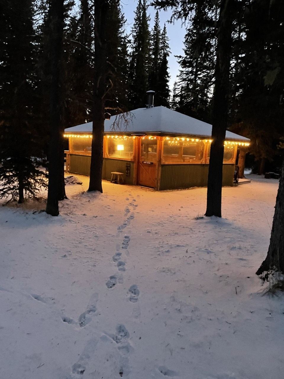 Snow-covered grounds with a small illuminated lodge cabin among pine trees at night.