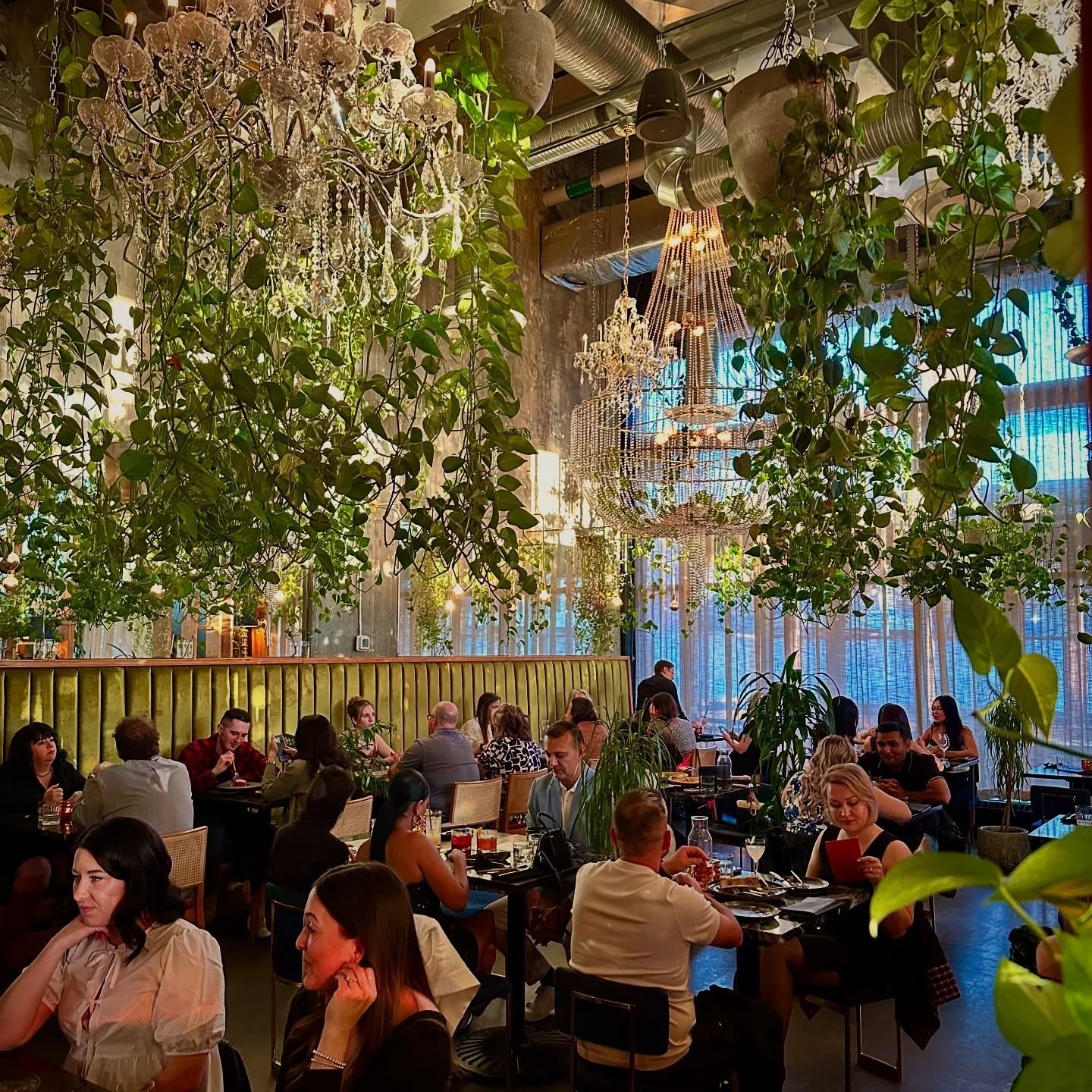 People dining at Orchard Restaurant.