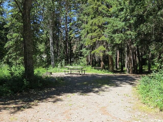 Campsite with a picnic table at Castle River Bridge Campground