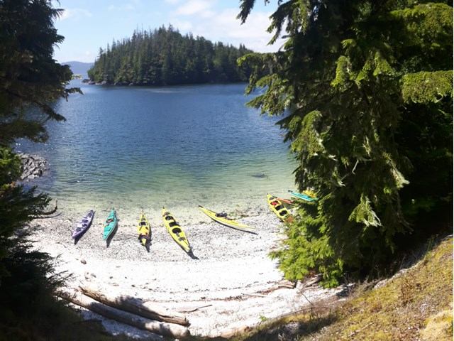 Colorful kayaks lined up on a pebbled beach by calm coastal waters.