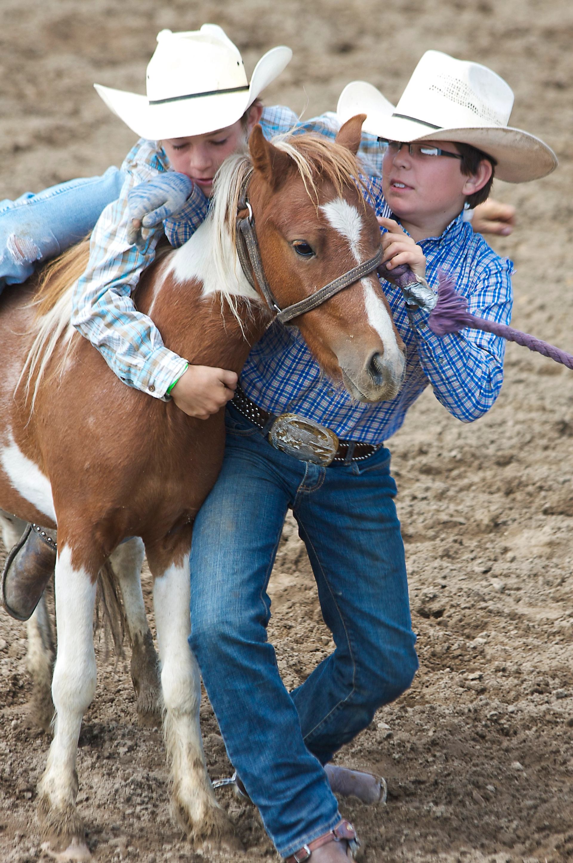 Two participants guiding a small horse and rider across the rodeo arena.