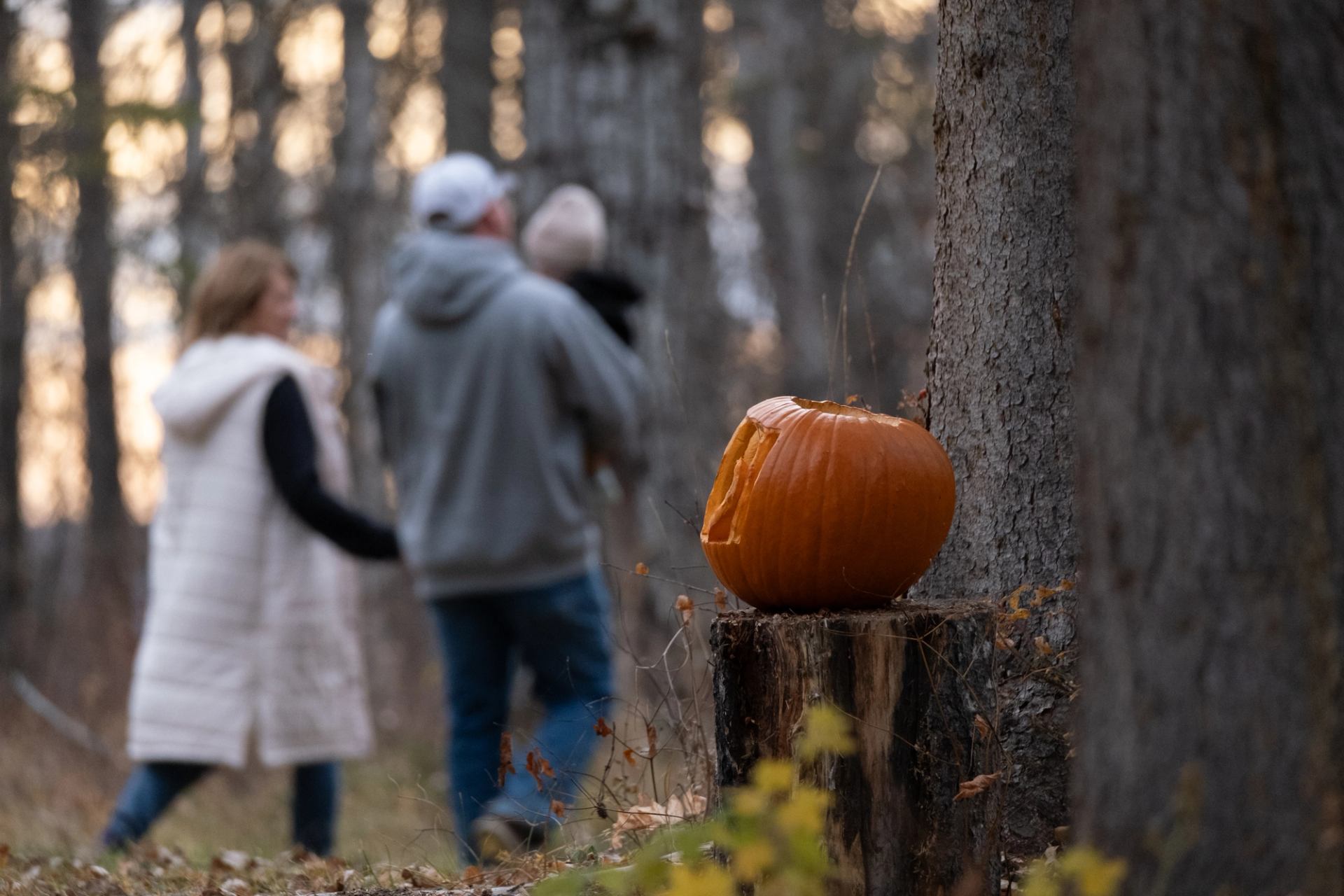 Carved pumpkin on tree stump in forest, with blurred people walking behind.