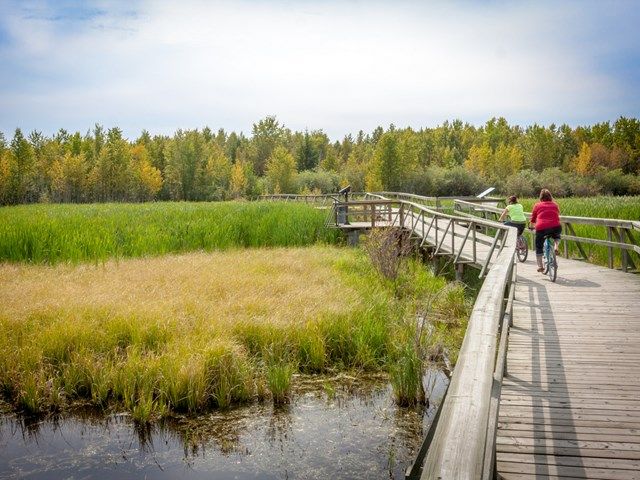 Family riding bikes over a bridge in Aspen Beach Provincial Park.