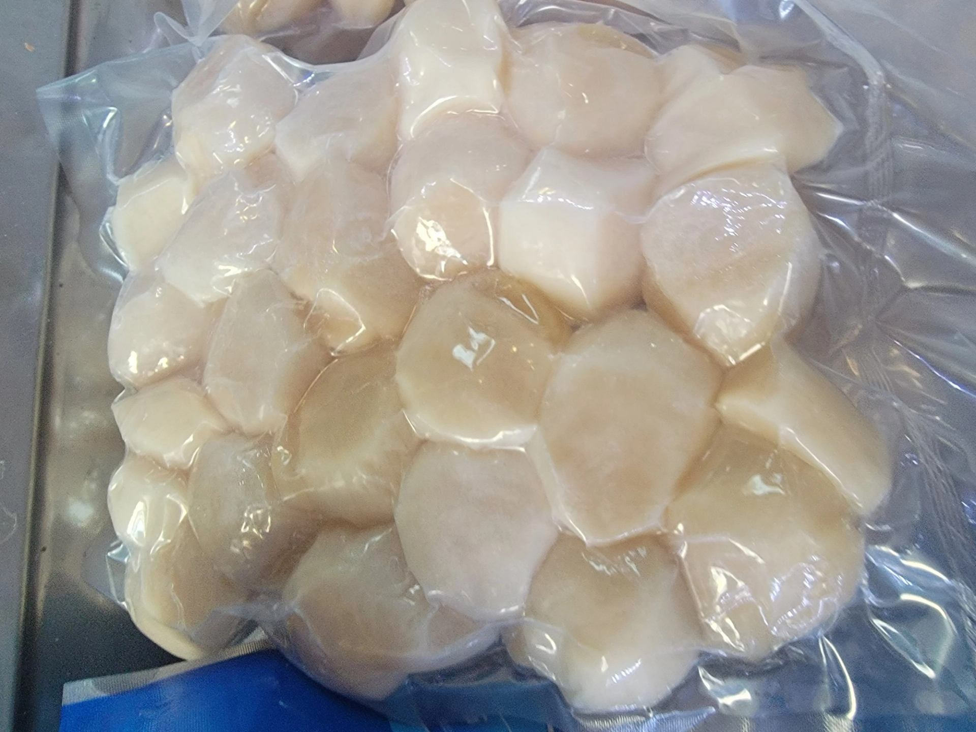 A bag of large Digby scallops.