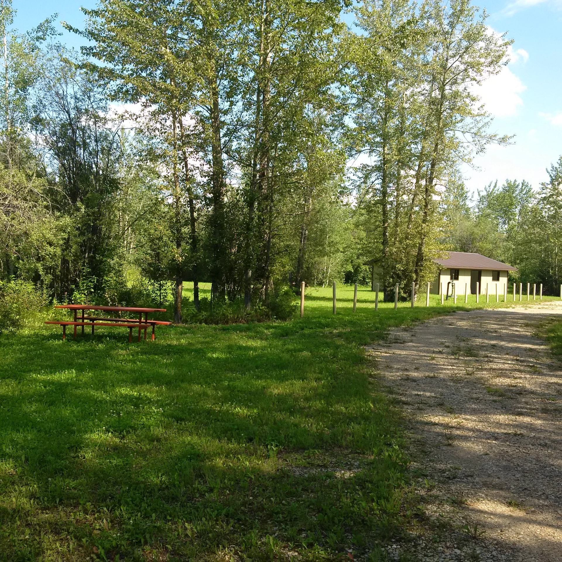 A grassy campground with a picnic table, tall trees, and a small building nearby.