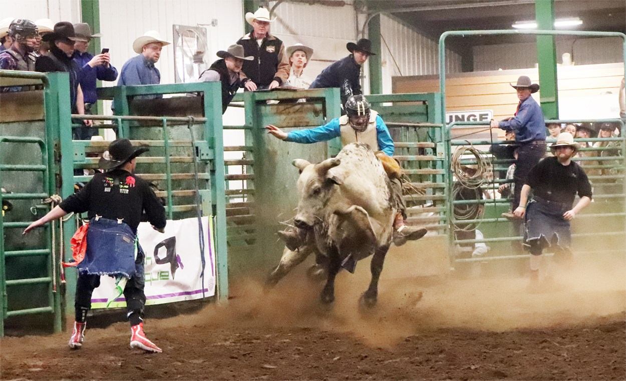 Bull rider bursts from chute as rodeo clowns and spectators watch in dusty arena.
