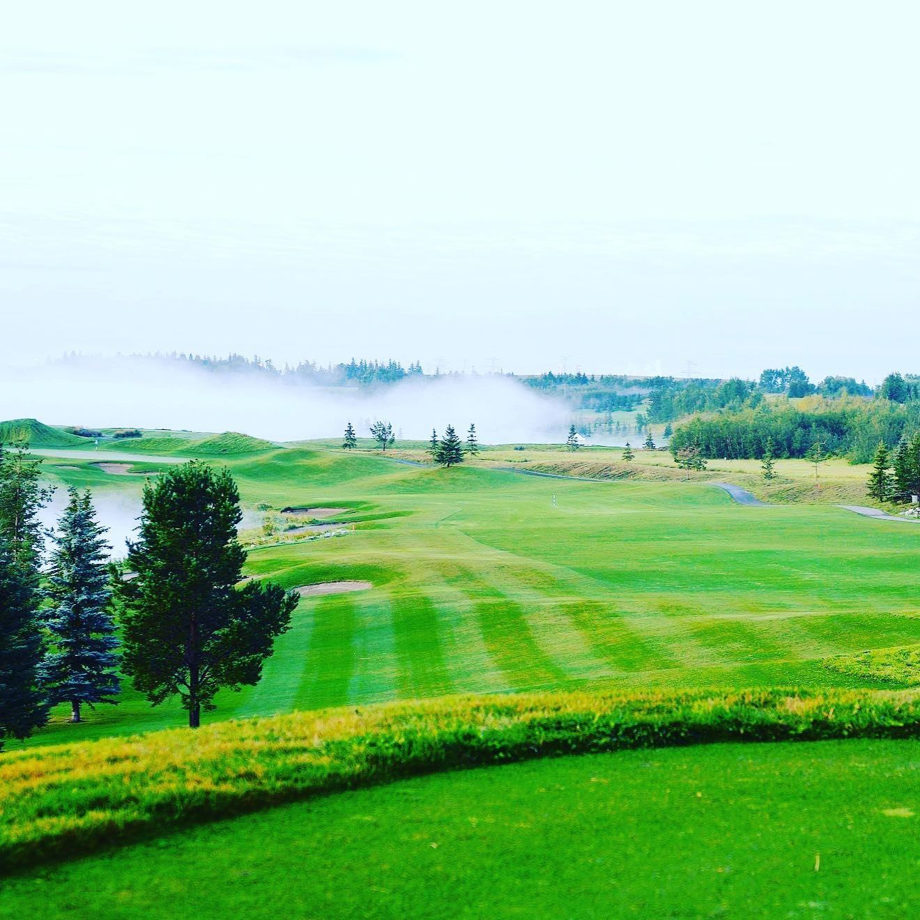 Fog drifting across a wide green golf course lined with trees.