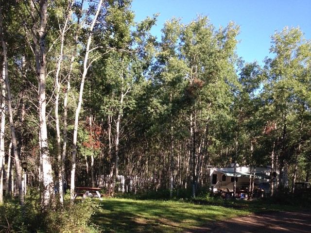 Creek Campground with RV parked beside grassy clearing and tall deciduous trees.