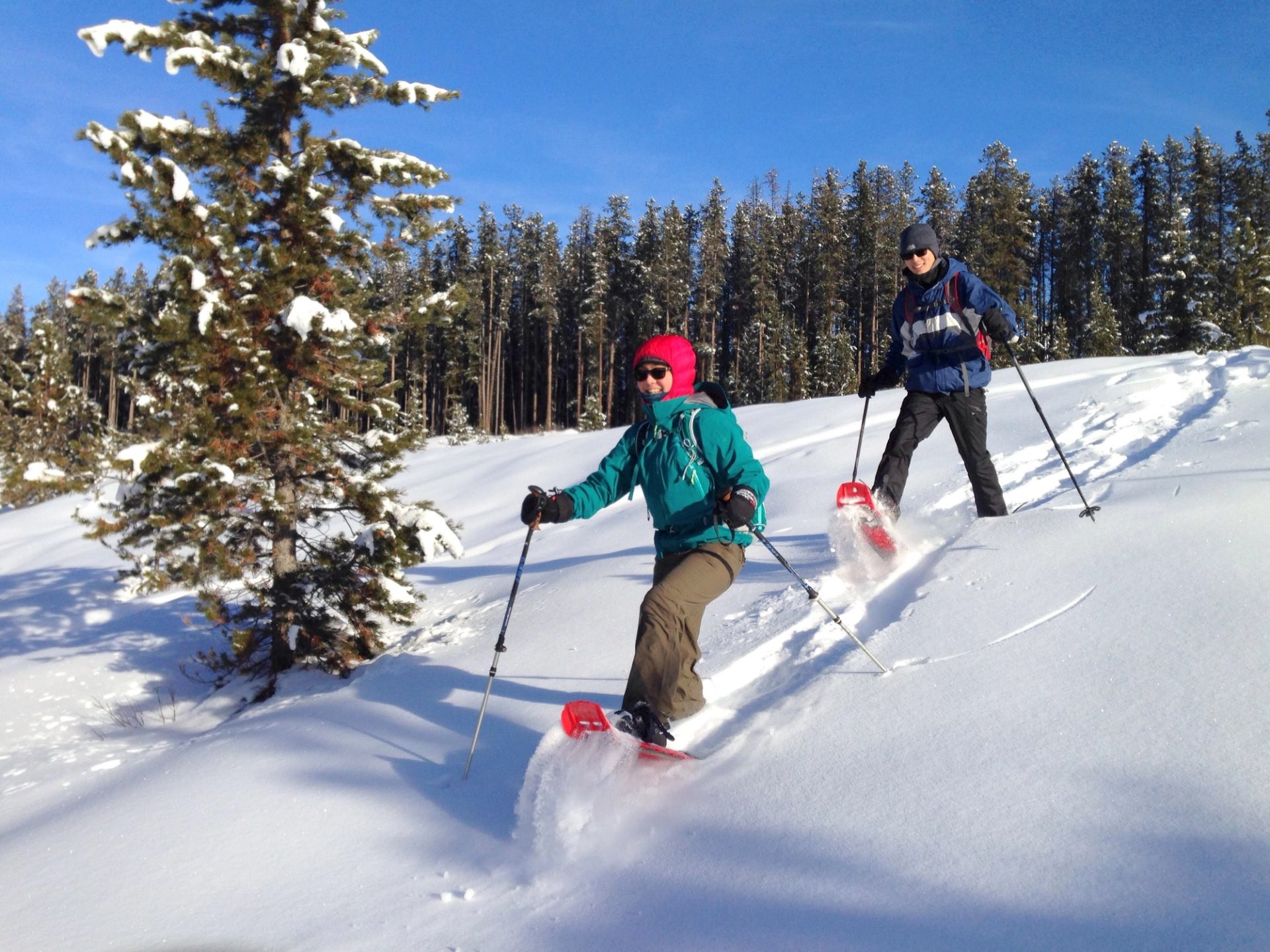 Snowshoers descending slope of powder snow with blue skies above.