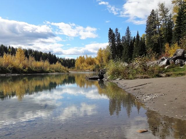 Calm river beside sandy bank, evergreens and yellow-leaved trees under cloudy sky.