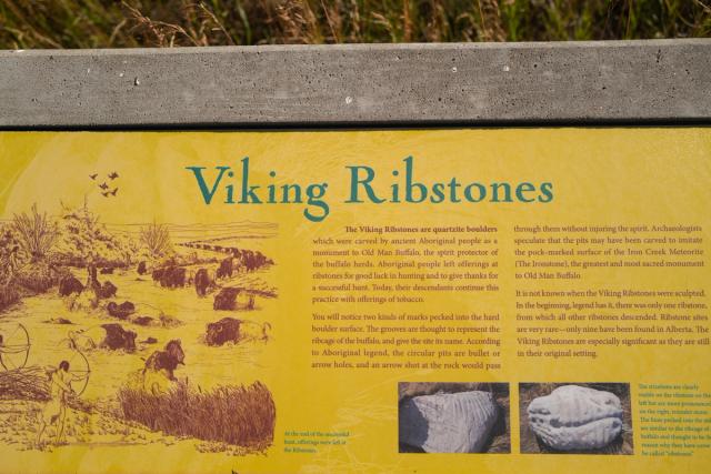 A plaque at the Viking Ribstones.