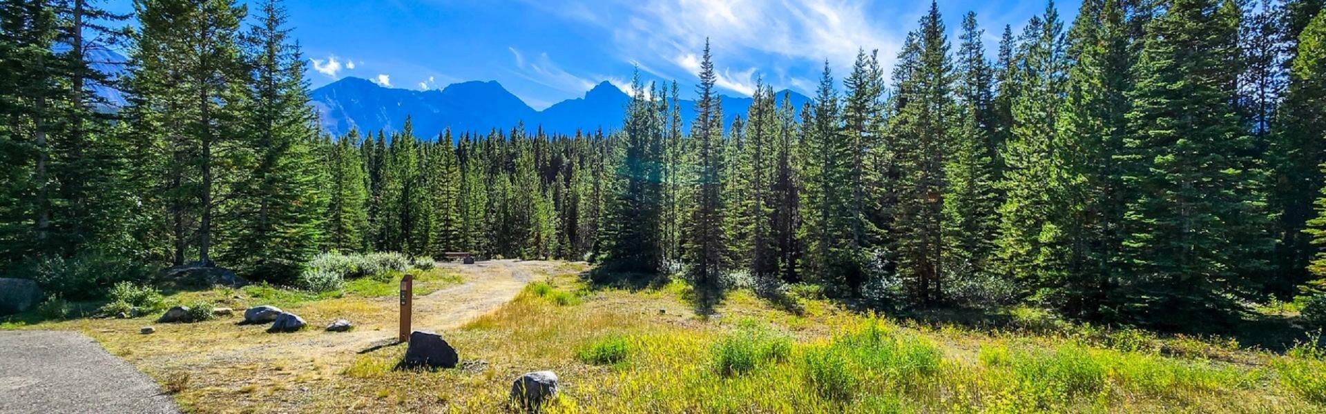 Forest campsite clearing with gravel path, wooden post and distant mountain range under blue sky.