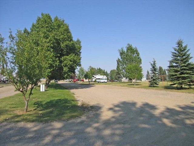 Campsite at the park