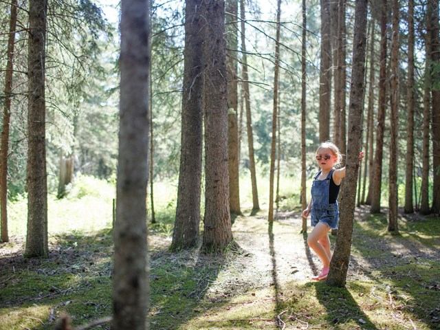 A child playing in amongst the trees