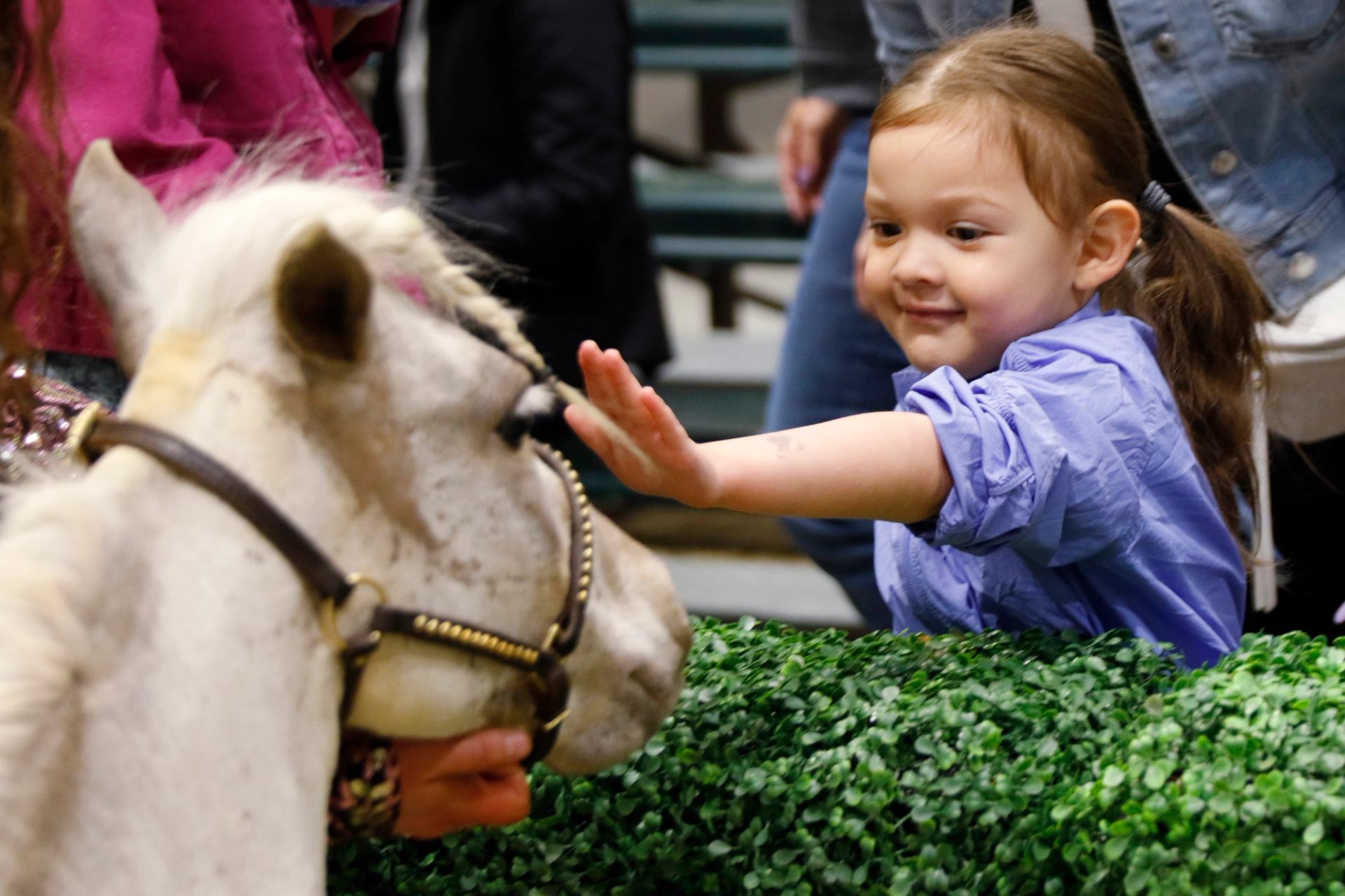 A child reaches out to pet a calm horse over a low barrier at an event.