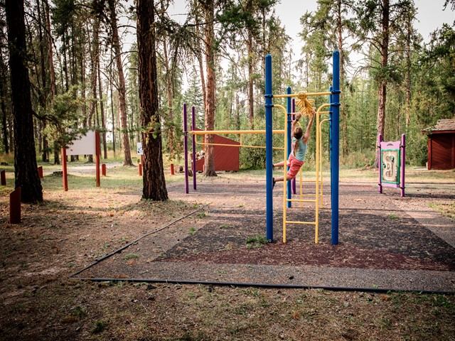 Colorful playground equipment in a forest clearing at Harmon Valley Park.