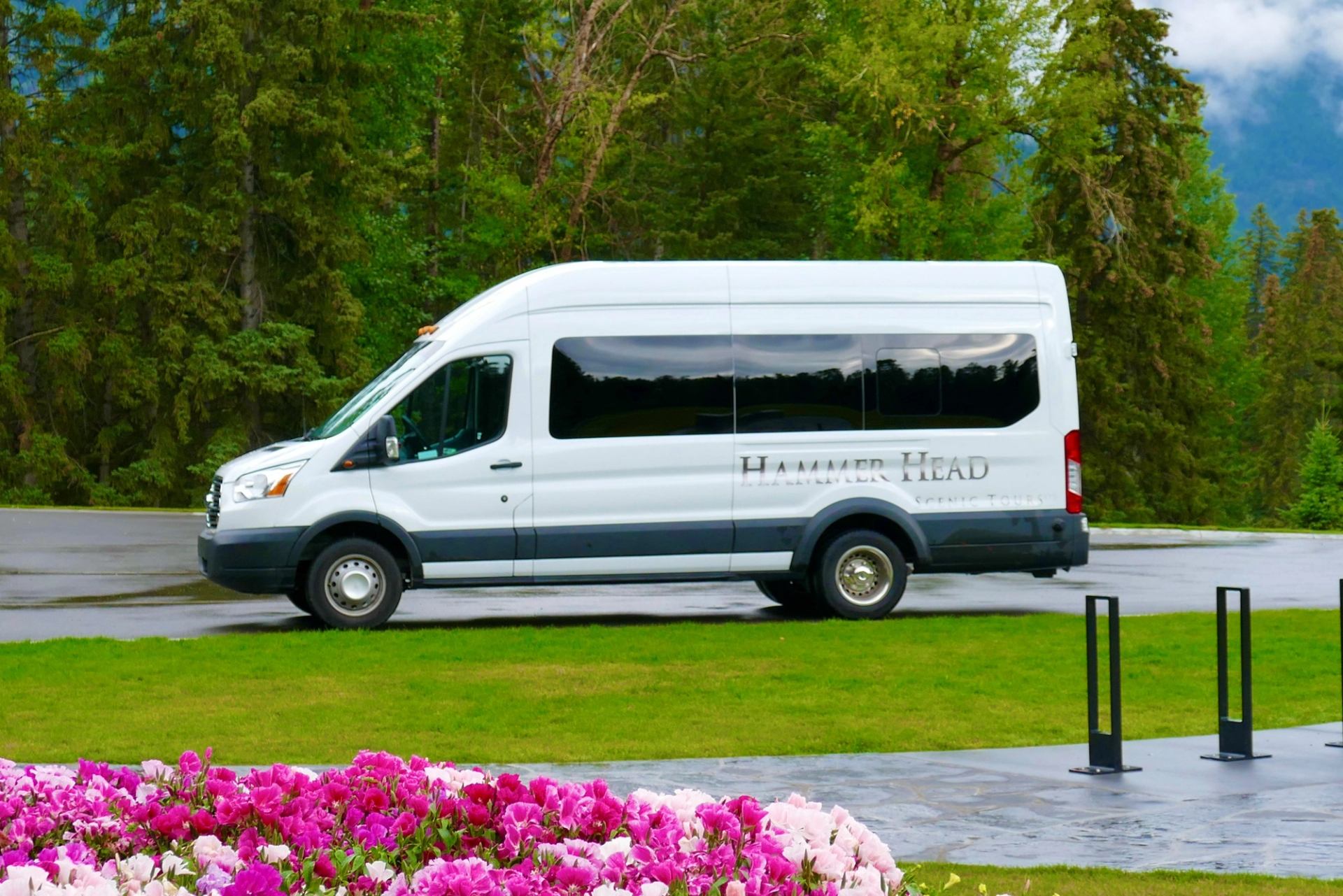 White tour van labeled 'Hammer Head Scenic Tours' parked on a paved area near green trees and blooming pink flowers.
