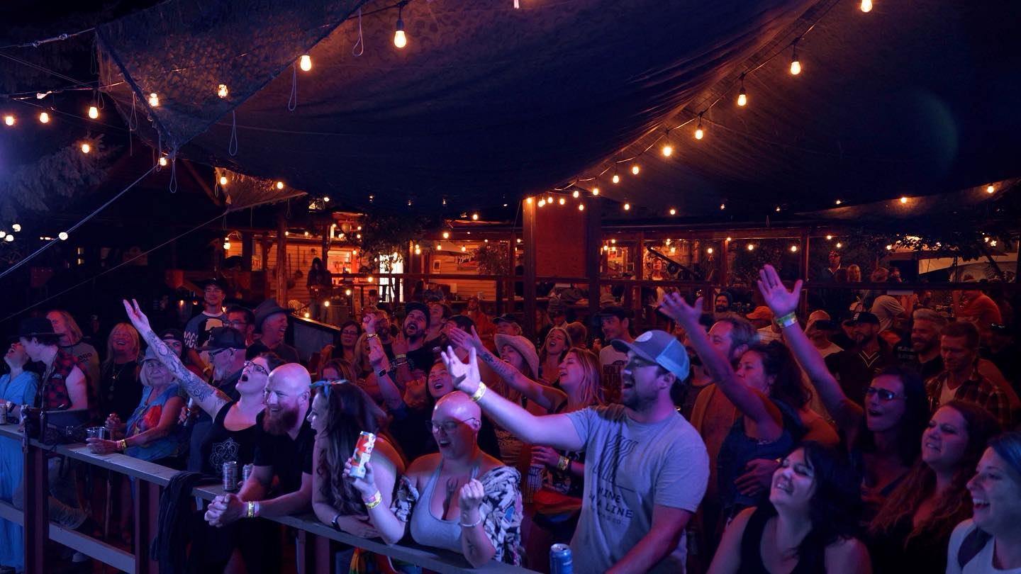 The crowd singing along to the band.
