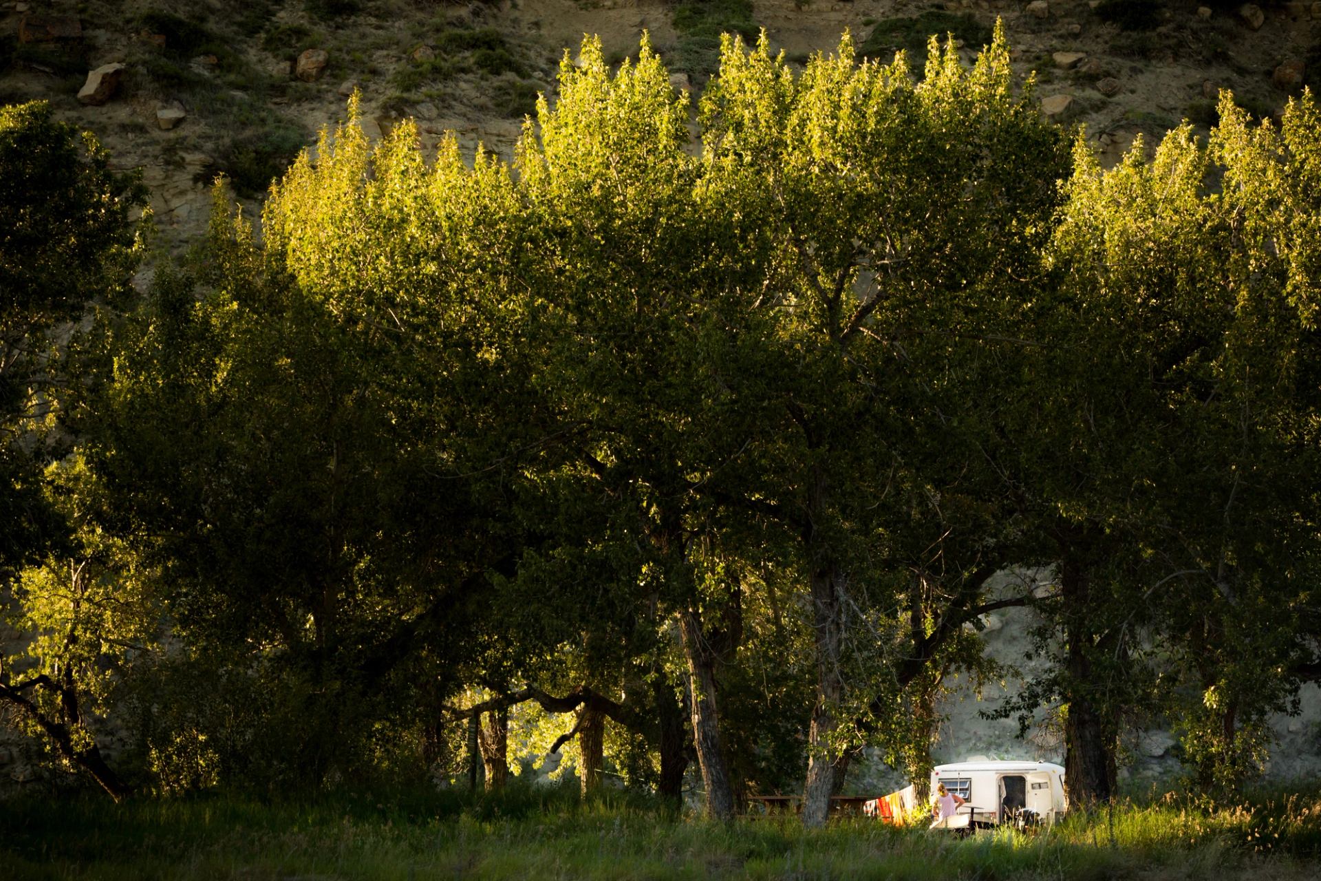 Small white camper trailer under tall sunlit trees beside rocky hillside.