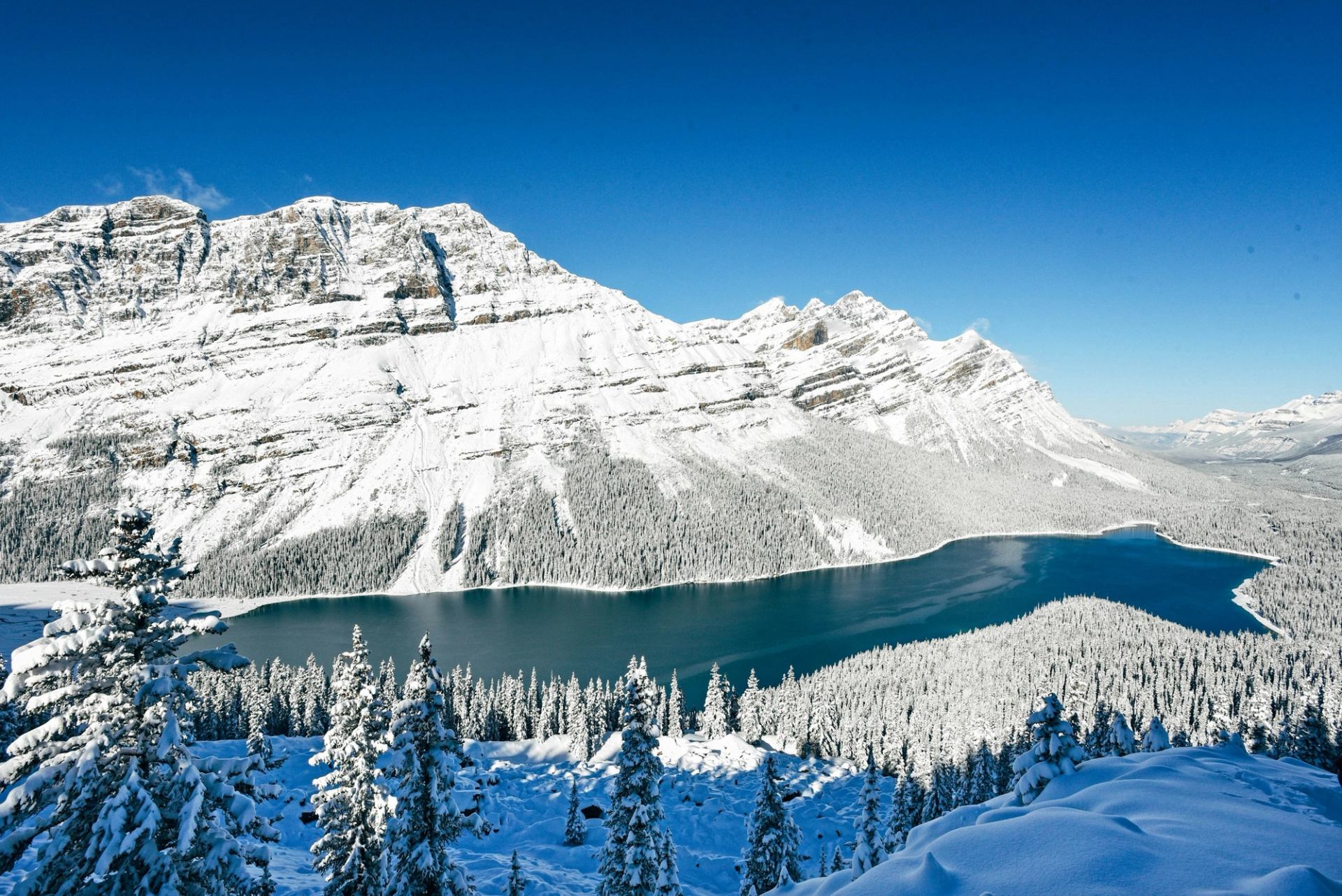 Snow-covered mountain range above a deep blue lake and dense evergreen forest.