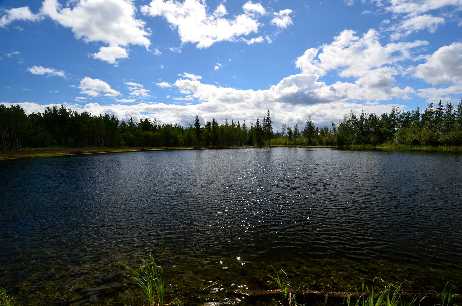 Shell True North Pond