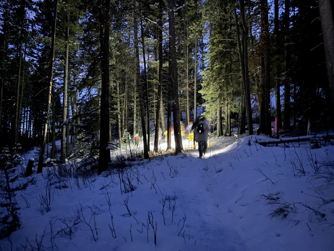 Person walks through snowy forest at night with light on the trail.