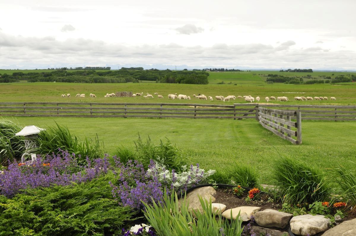 The gardens at Pasu Farm.