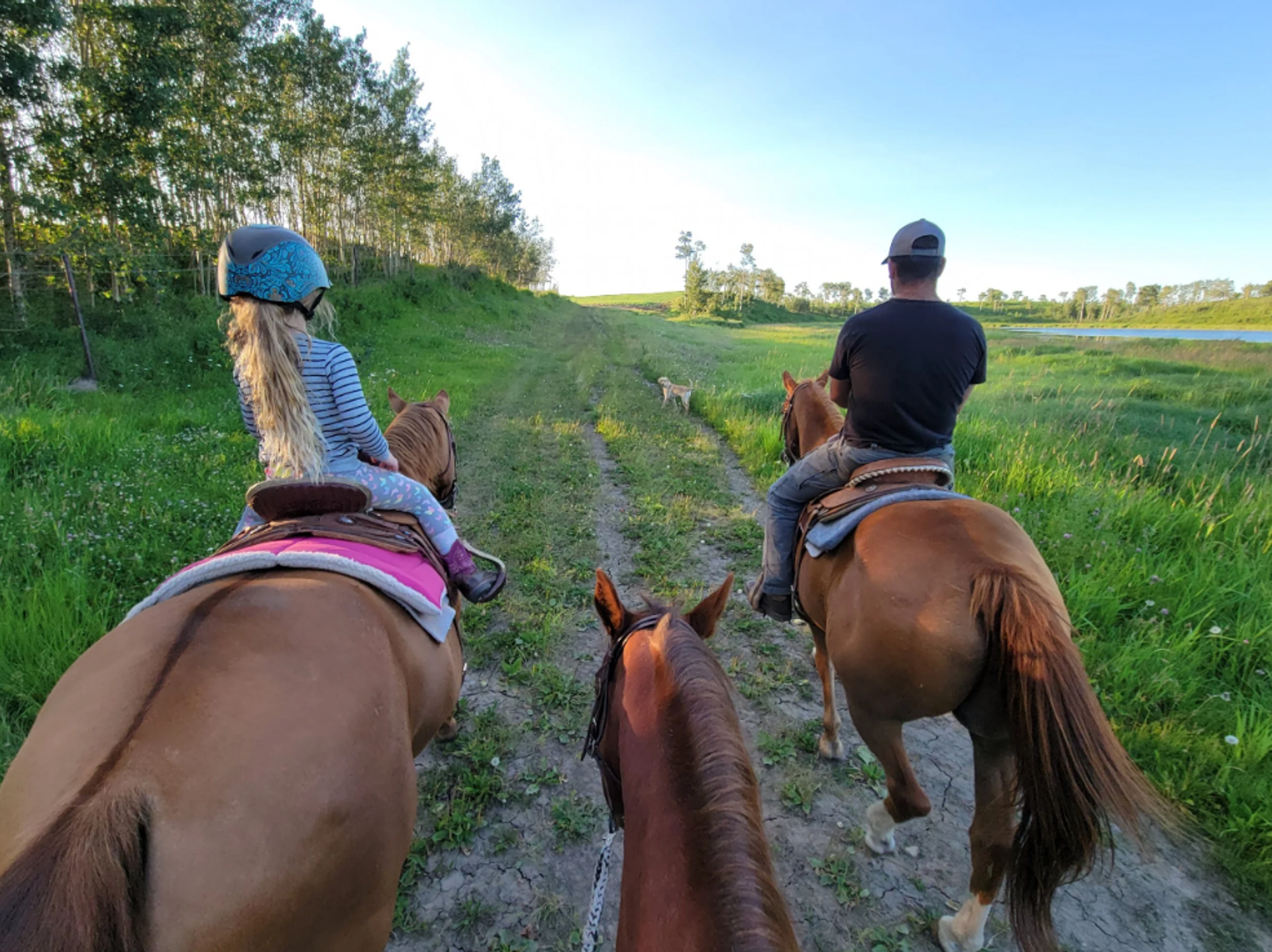Horseback riders travel along a grassy trail beside trees and a pond.