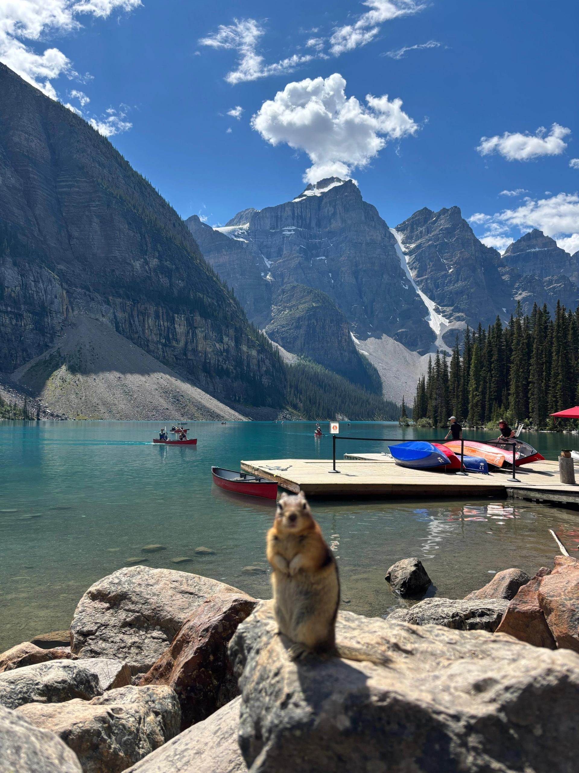 Marmot on rocks at Moraine Lake with canoes, mountains, and turquoise water.