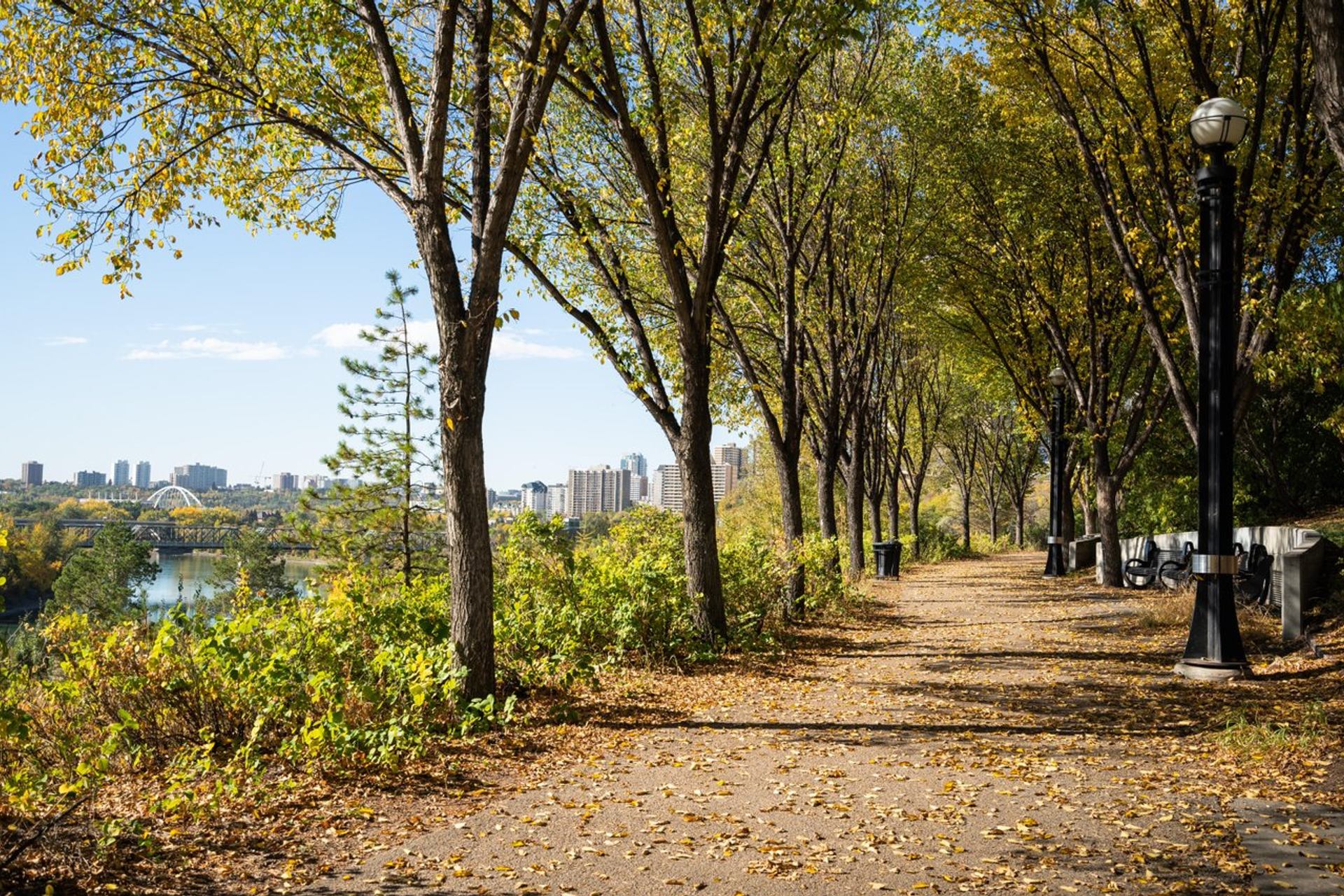 Tree-lined riverside path with fallen leaves, benches and city skyline in background.