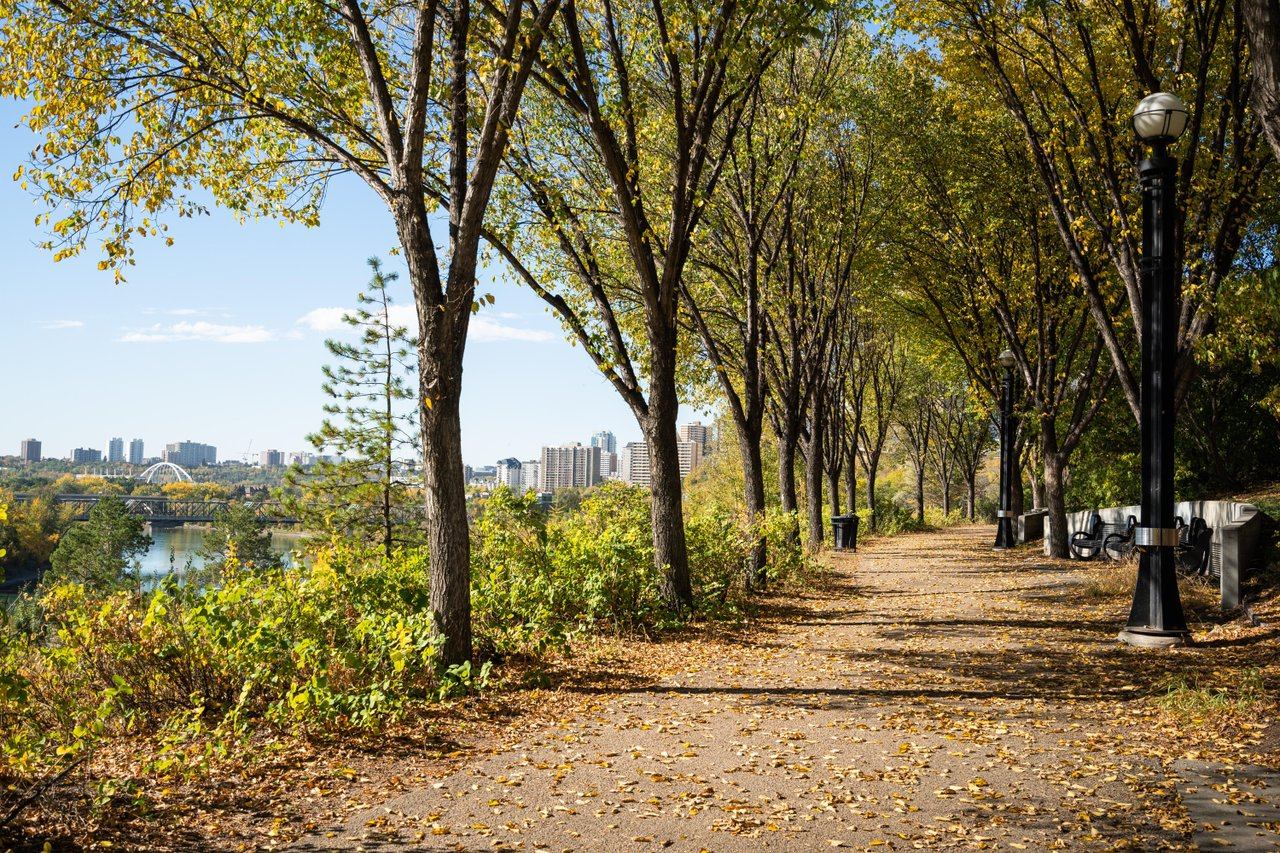 Tree-lined riverside path with fallen leaves, benches and city skyline in background.