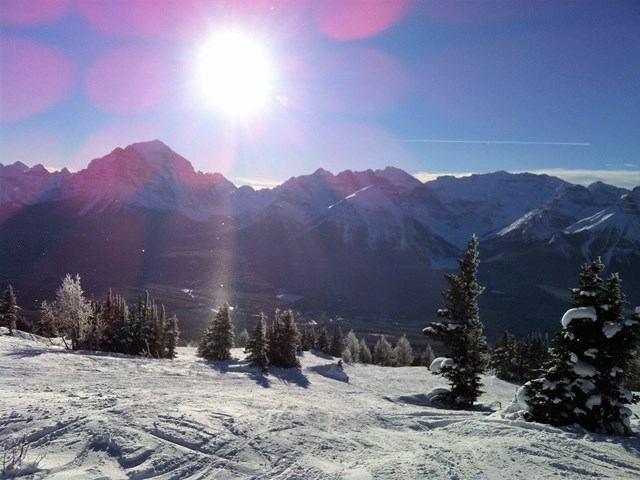 Snowy mountain landscape with sun shining brightly above, casting pink lens flares. Snow-covered trees in the foreground, clear blue sky. Serene and crisp.