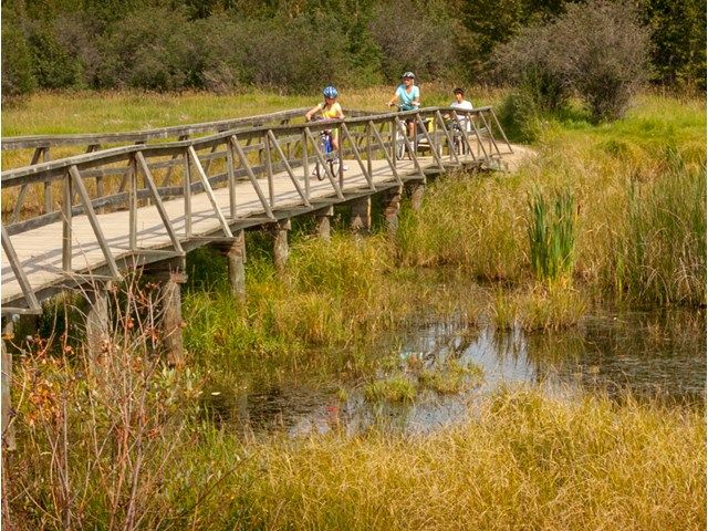 Family riding bikes over a bridge in Aspen Beach Provincial Park.