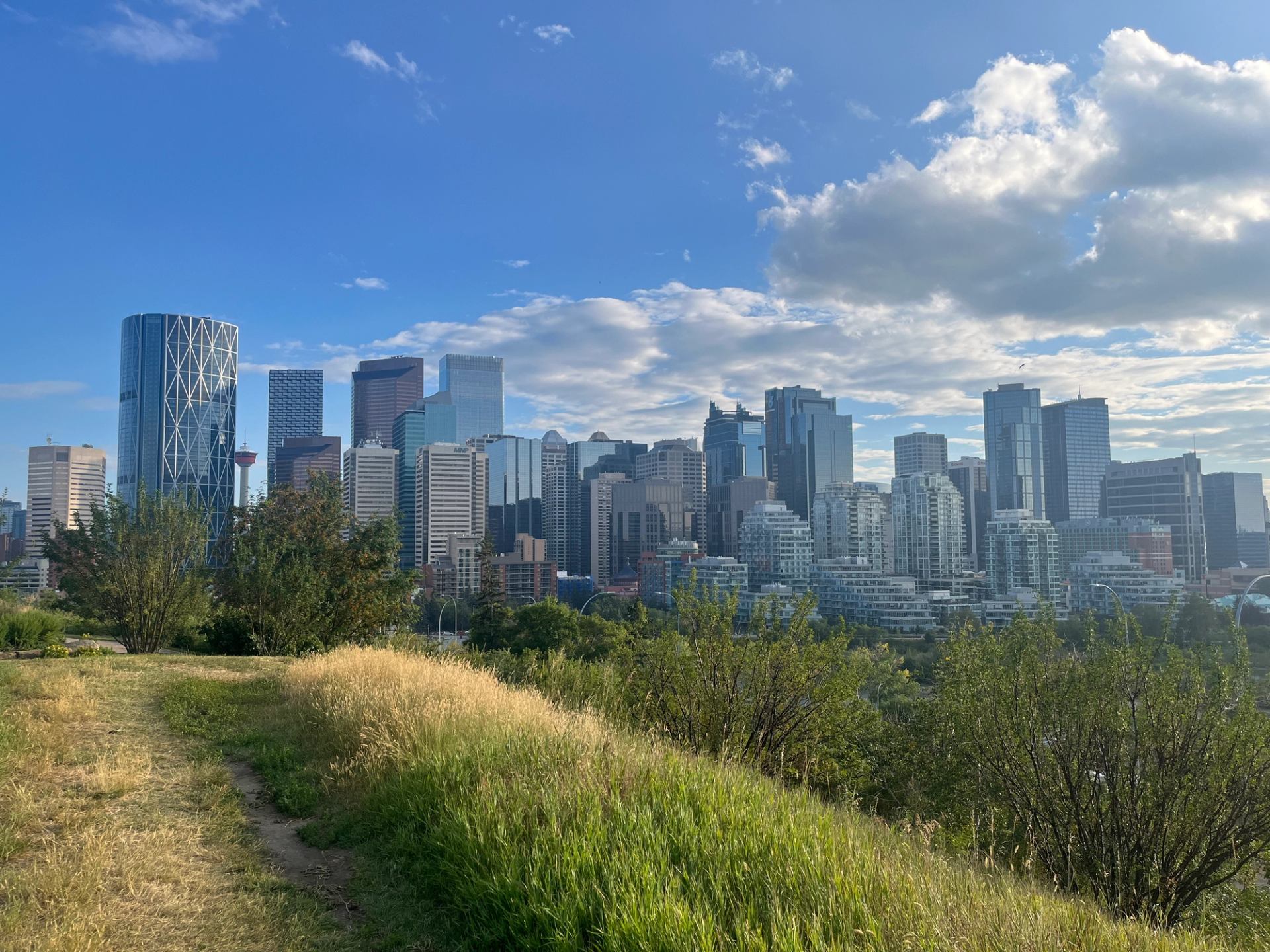 Calgary skyline viewed from a grassy park trail with trees in the foreground.