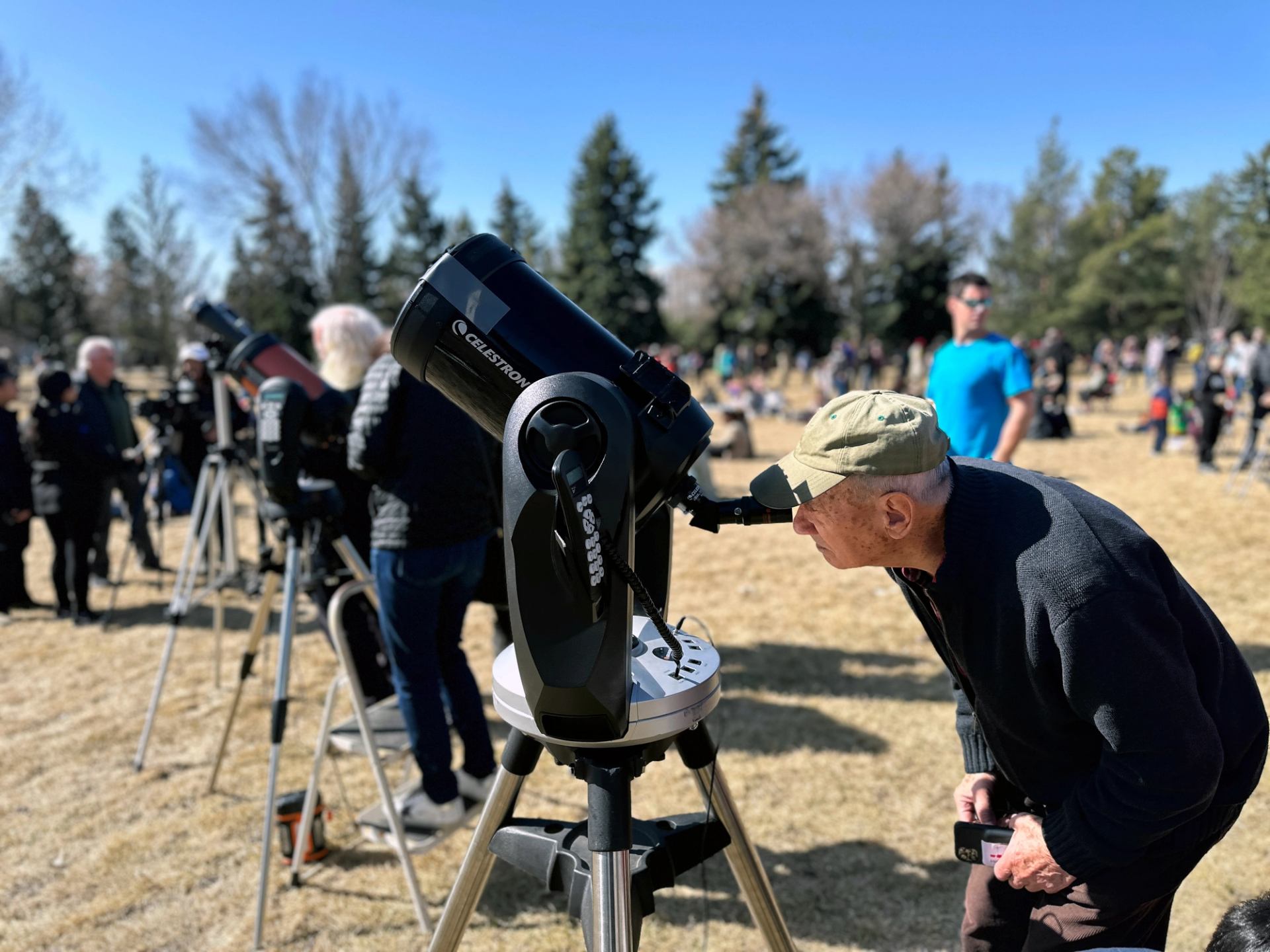 Person looking through a Celestron telescope in a park with gathered crowd.