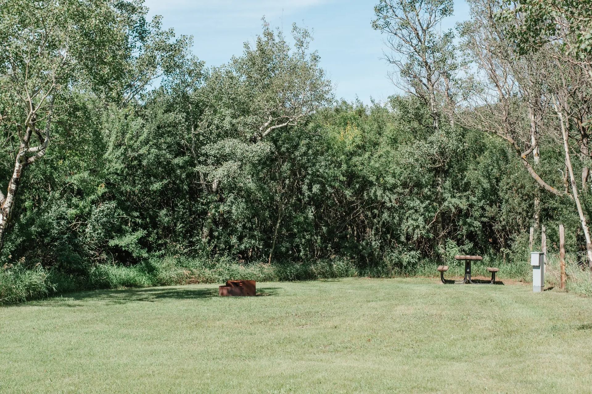 Grassy campsite with metal fire pit, picnic table and electrical post beside trees.