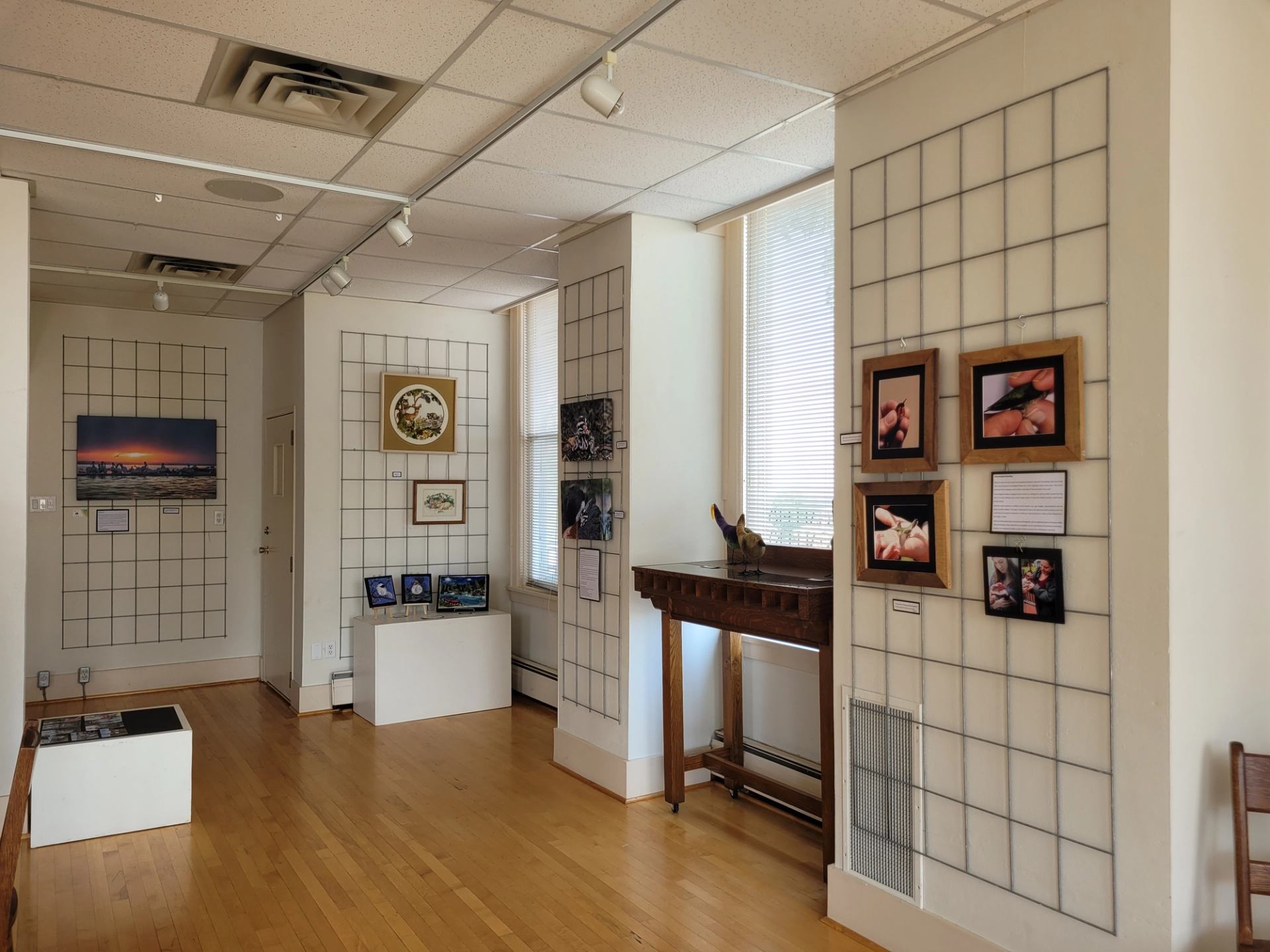 The gallery with framed photographs of wildlife and nature, a wooden table displaying art pieces, and a bird figurine.