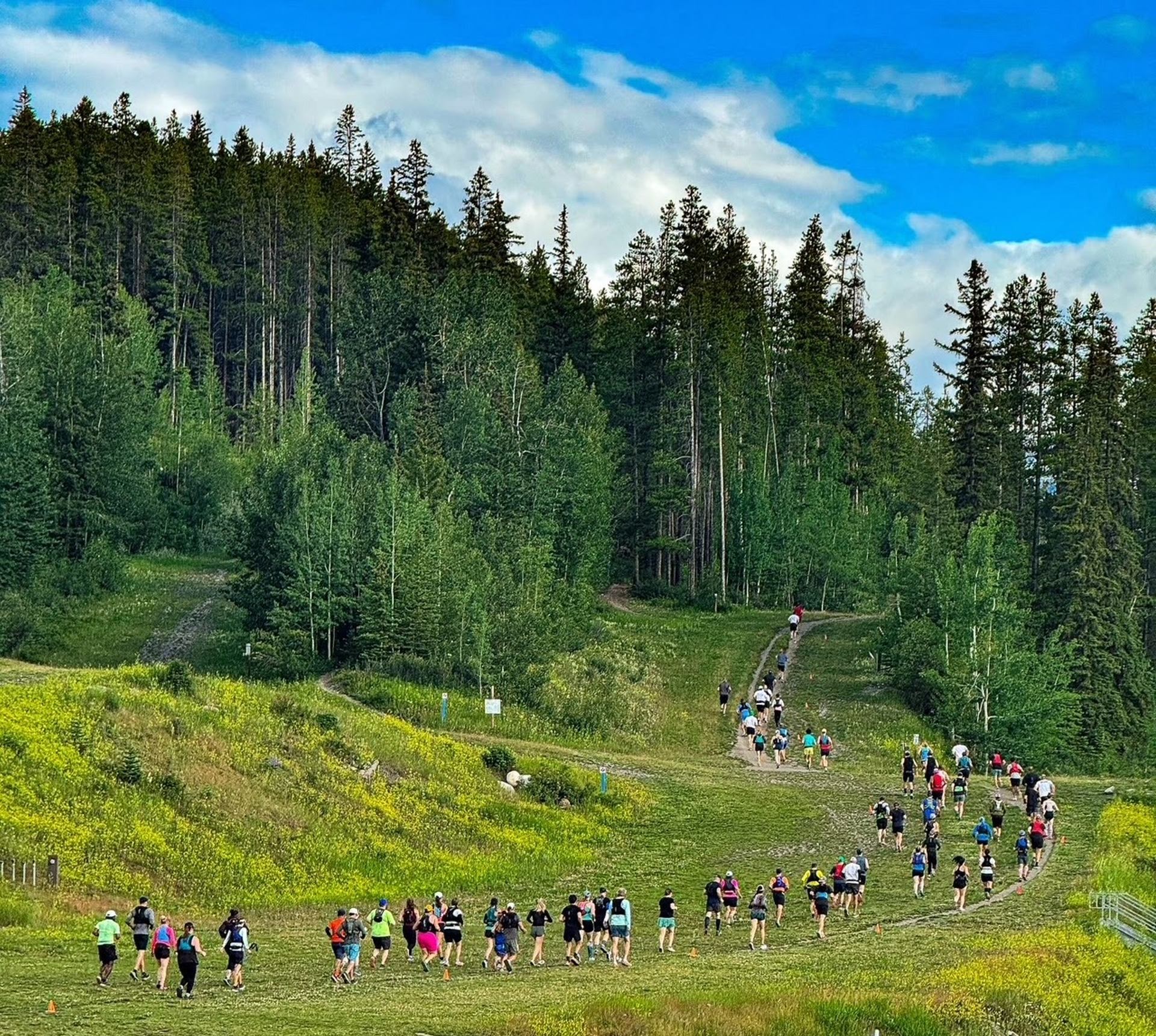 Canmore Revolver | Canada's Alberta thumbnail
