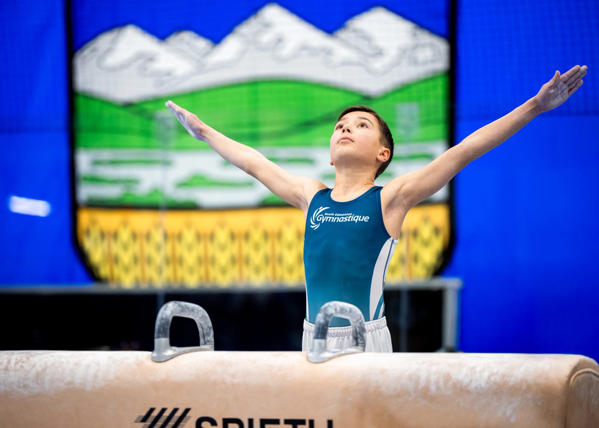 Gymnast finishing a pommel horse routine with arms raised in front of a provincial flag backdrop.