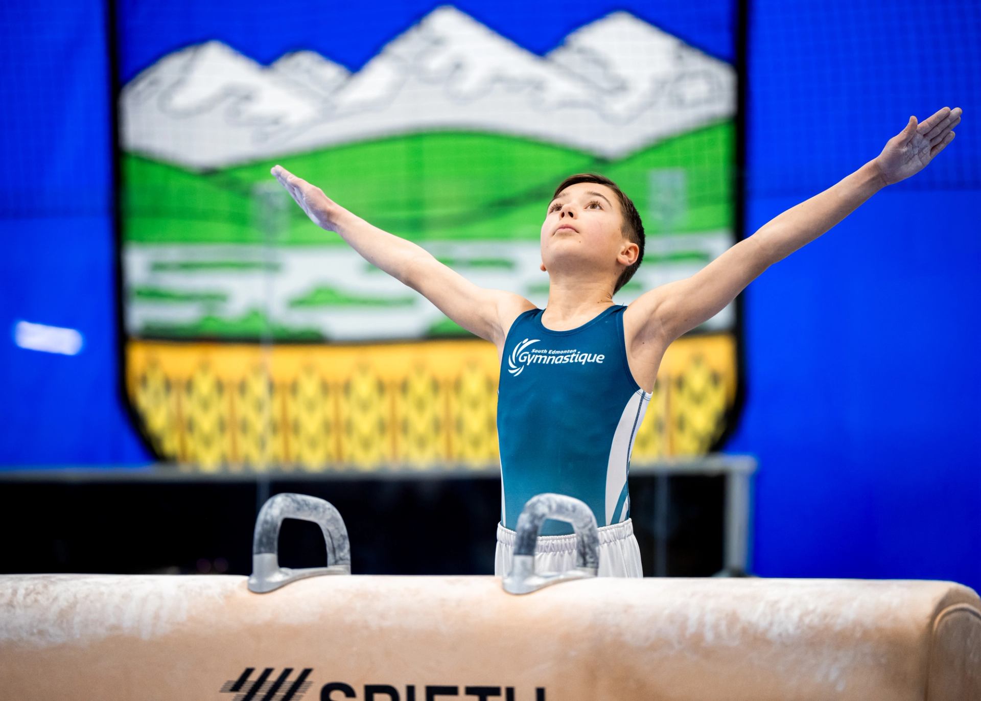 Gymnast finishing a pommel horse routine with arms raised in front of a provincial flag backdrop.