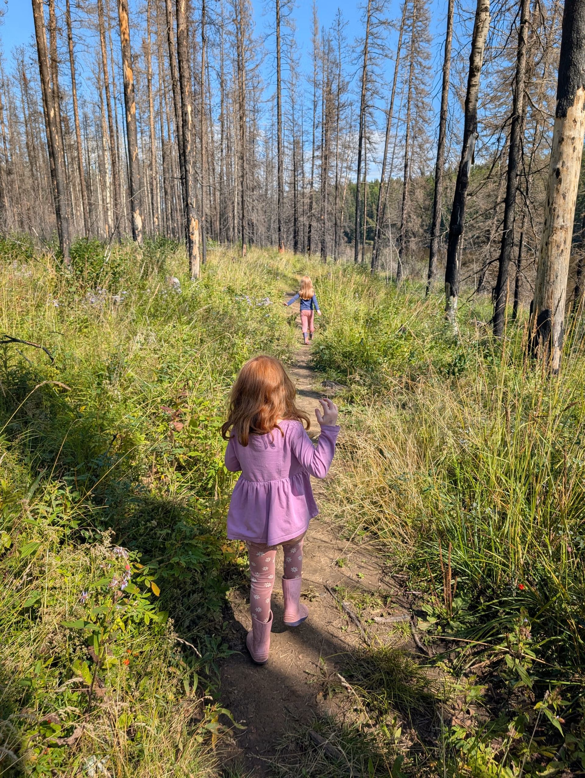 Two children walk along a narrow dirt trail through tall grass and bare trees.