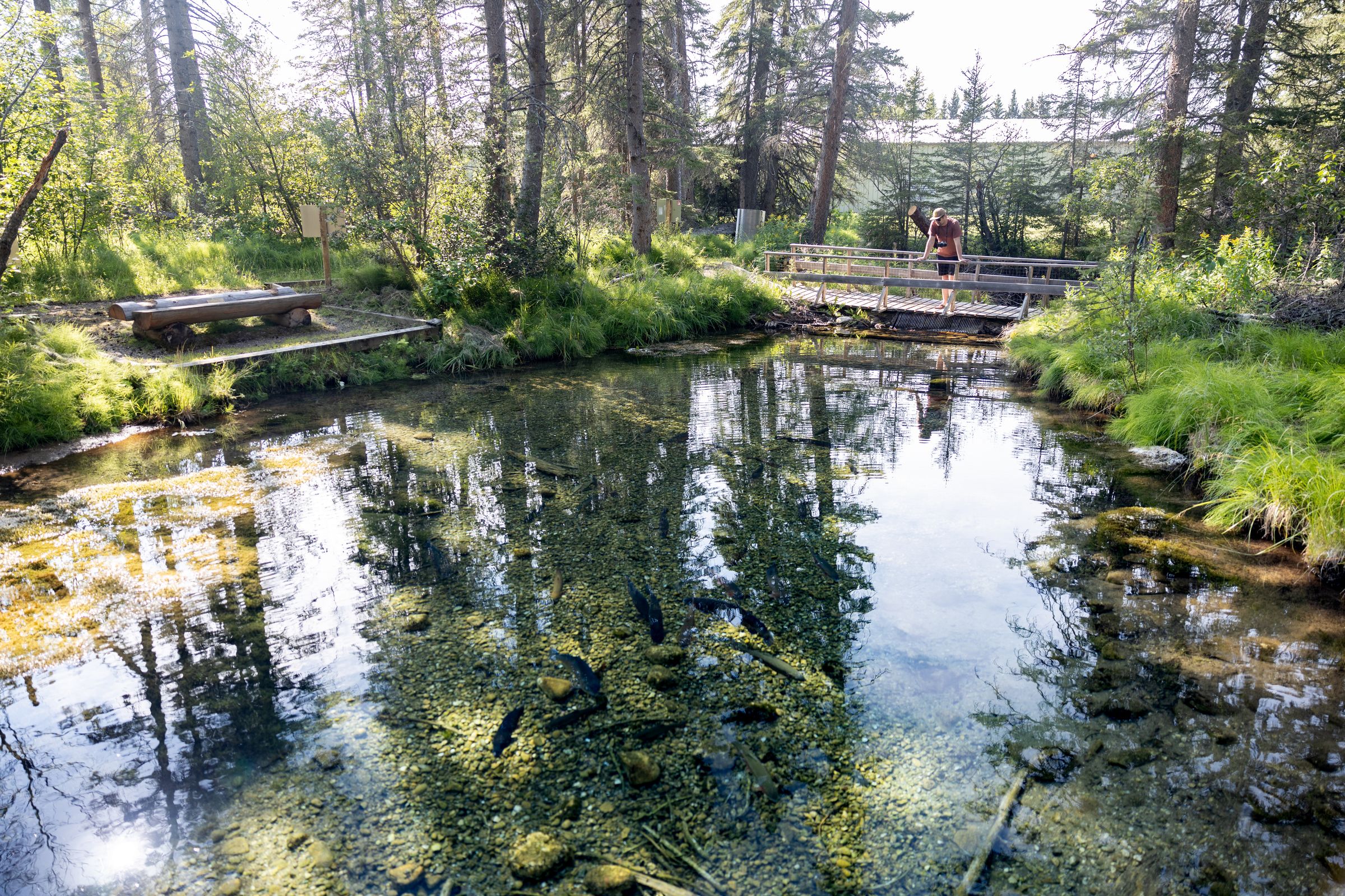 Raven Brood Trout Station | Canada's Alberta thumbnail