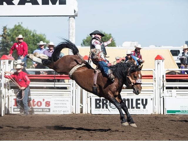 Trying to stay in the saddle during saddle bronc