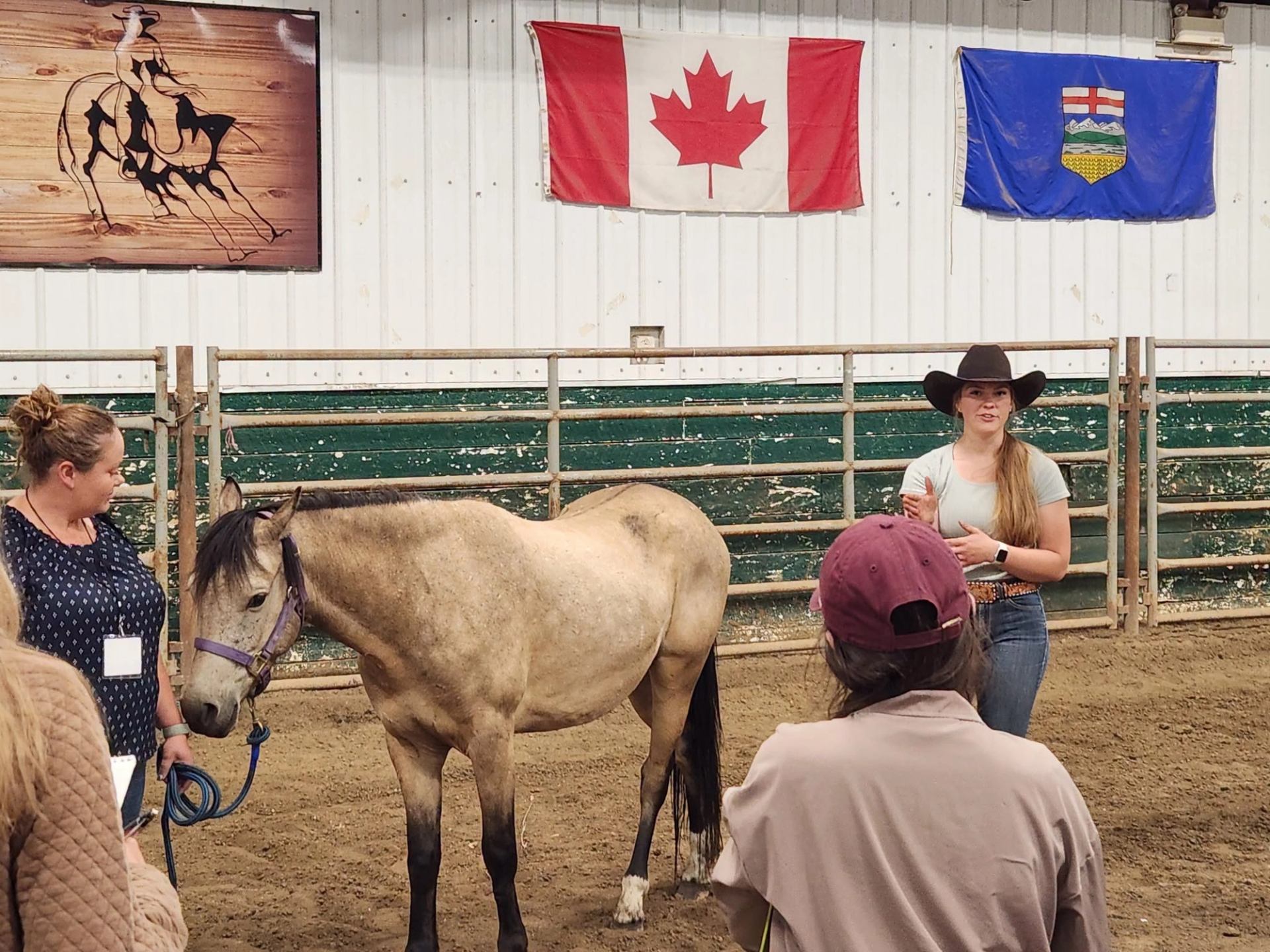 Visitors gather around a horse in an indoor arena while an instructor leads a demonstration.