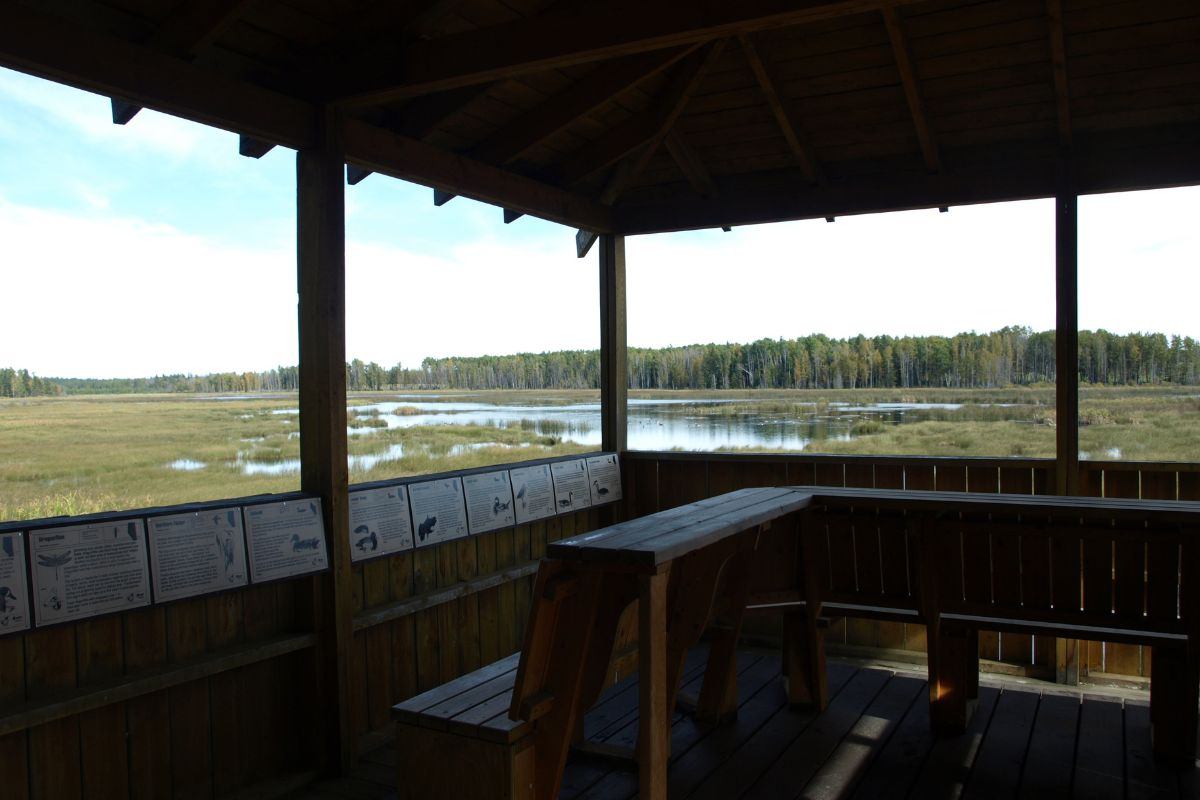Medicine River Wildlife Centre features a covered viewing shelter overlooking wetlands with water, grasses, and forest beyond.