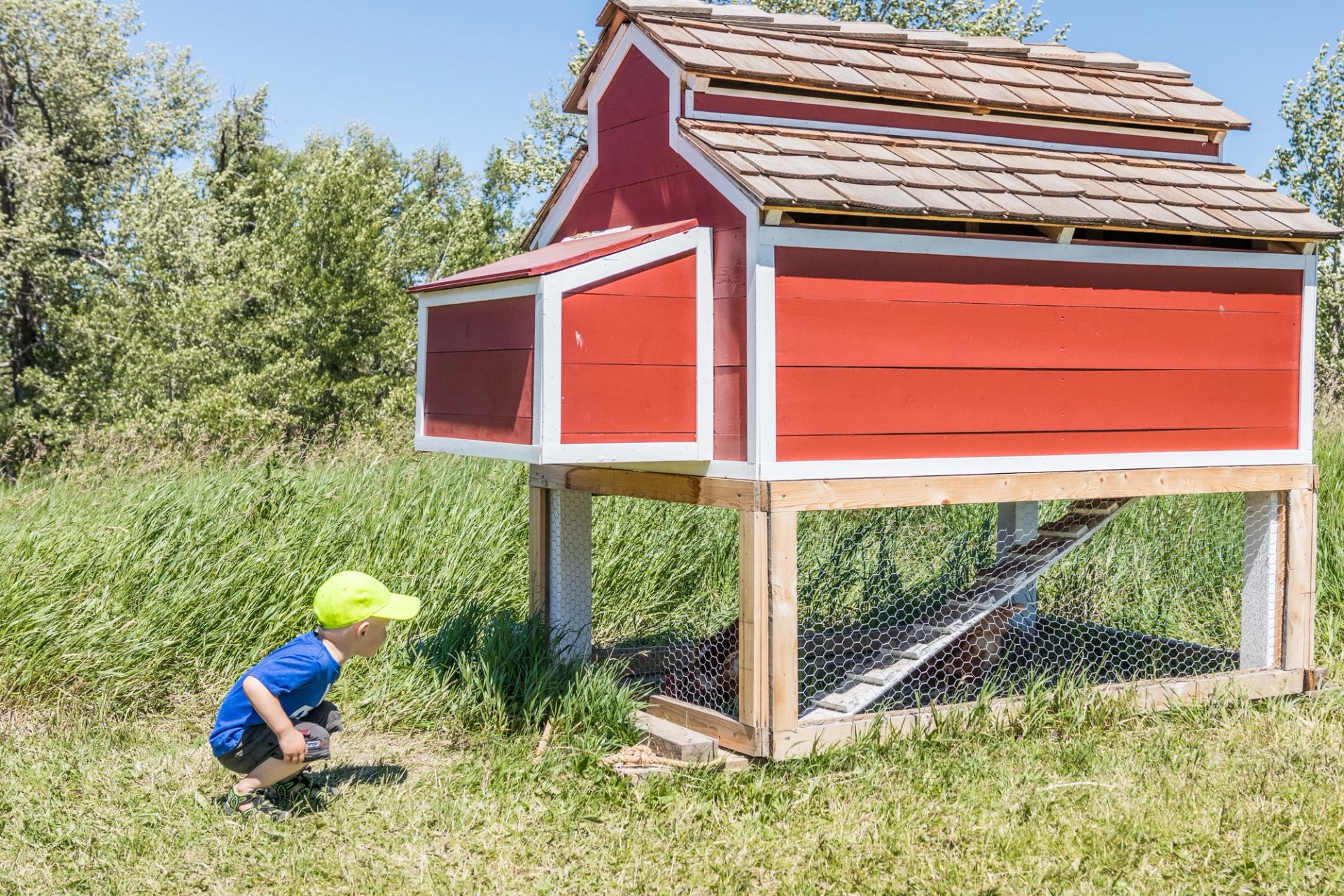 A young child crouches near a small red chicken coop in a grassy field.
