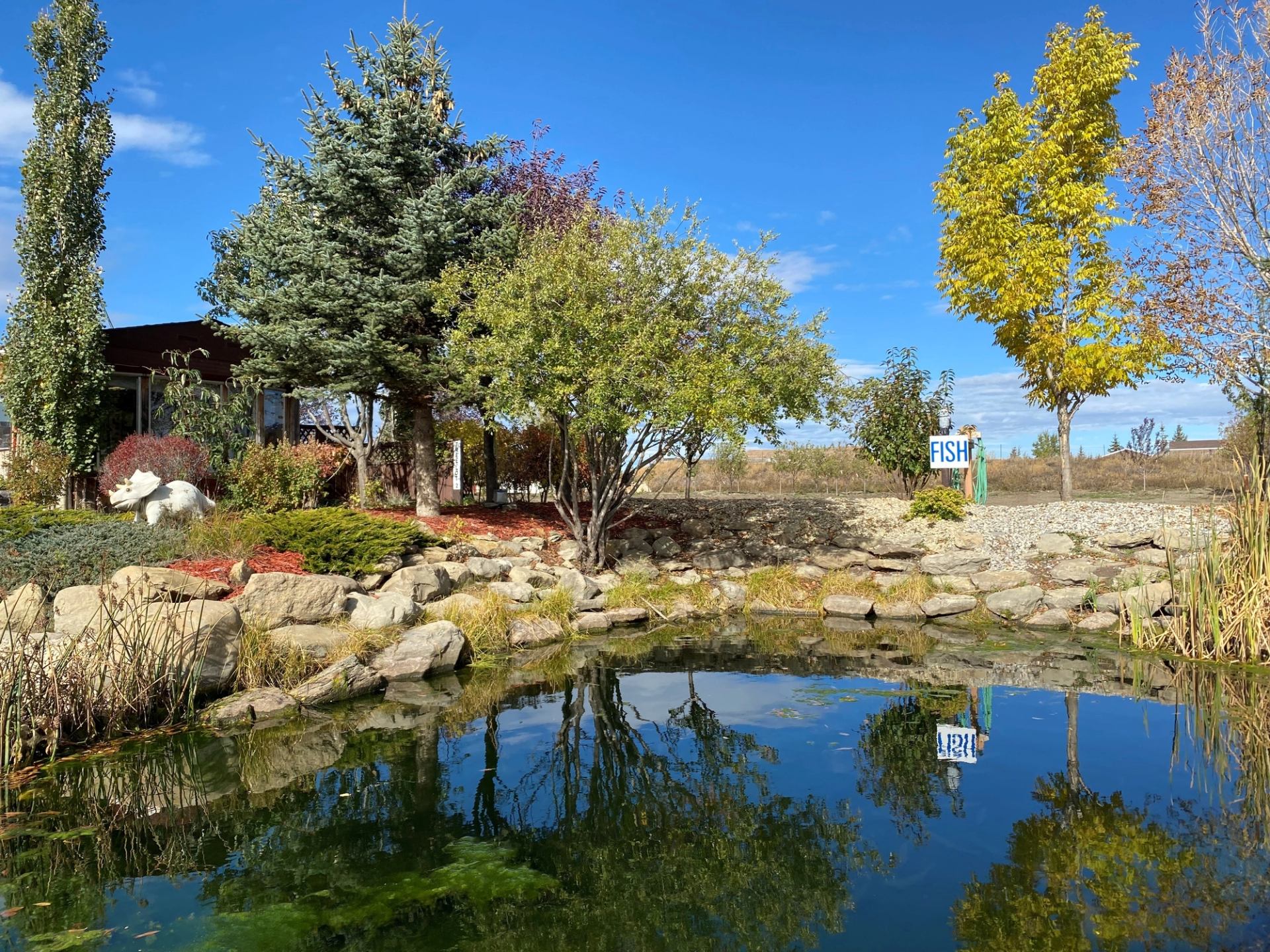 Rock-lined pond reflects trees and blue sky beside FISH sign.
