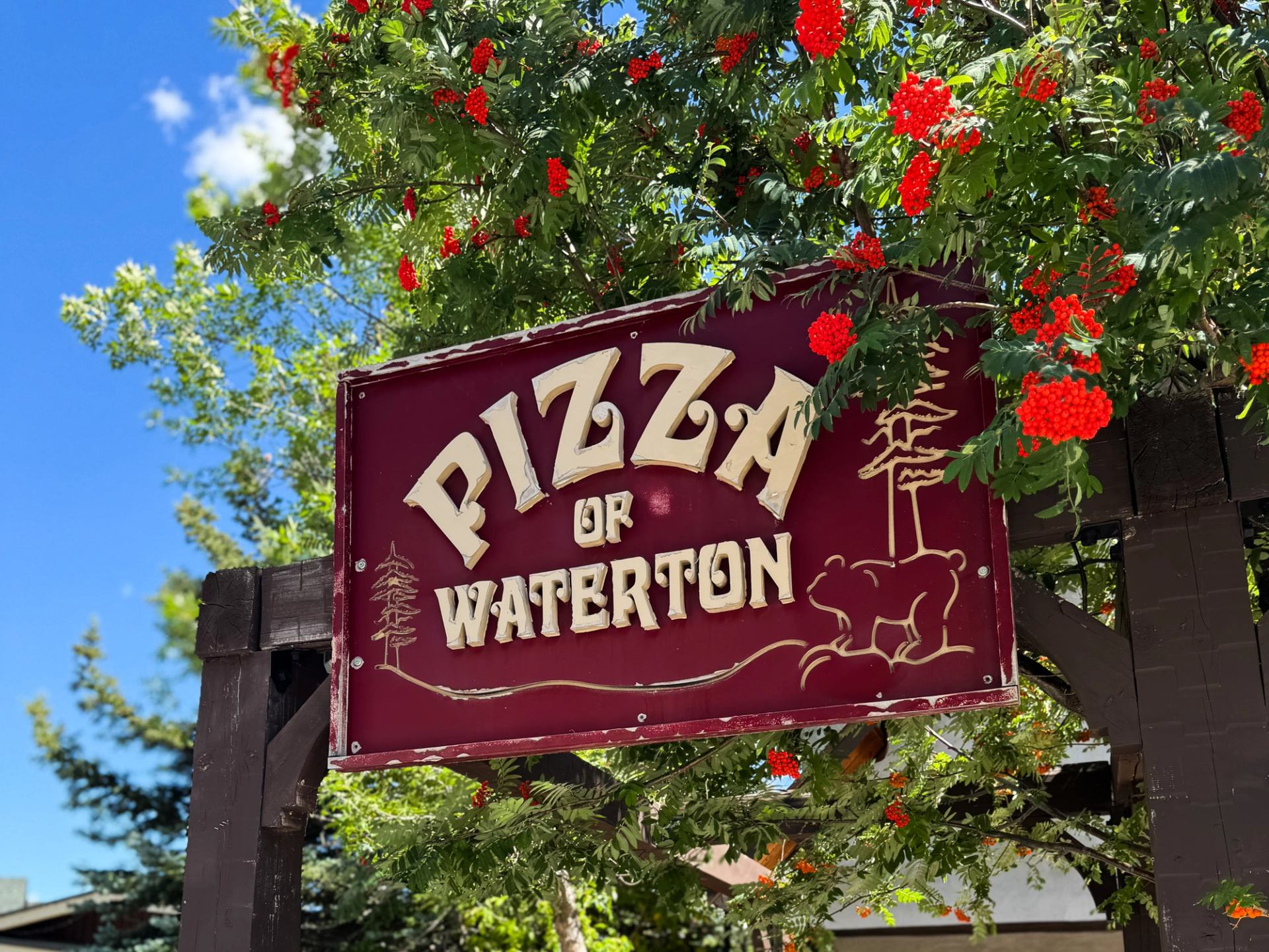 Maroon sign for Pizza of Waterton with bear and tree illustration, set among flowers and greenery.