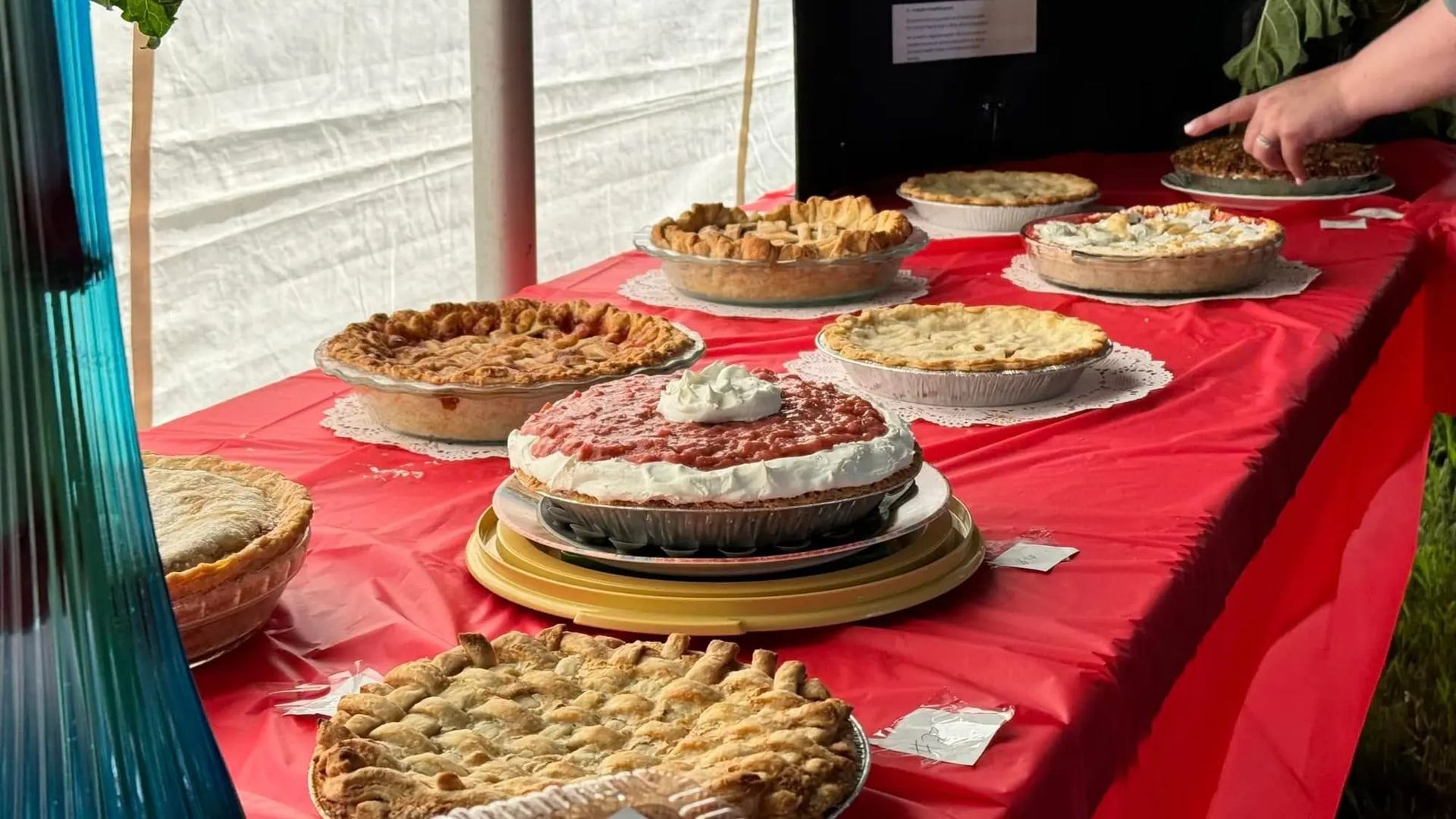 A table fulll of baked pies