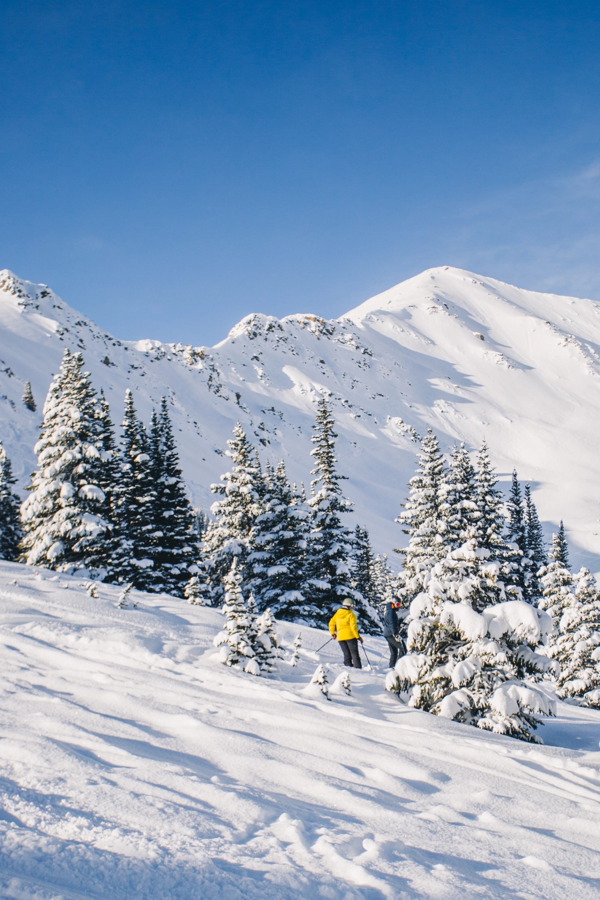 Skiers in fresh powder underneath the Marmot Peak.